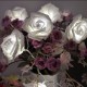 Led dekoracija Roses