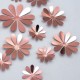Veidrodinės gėlytės